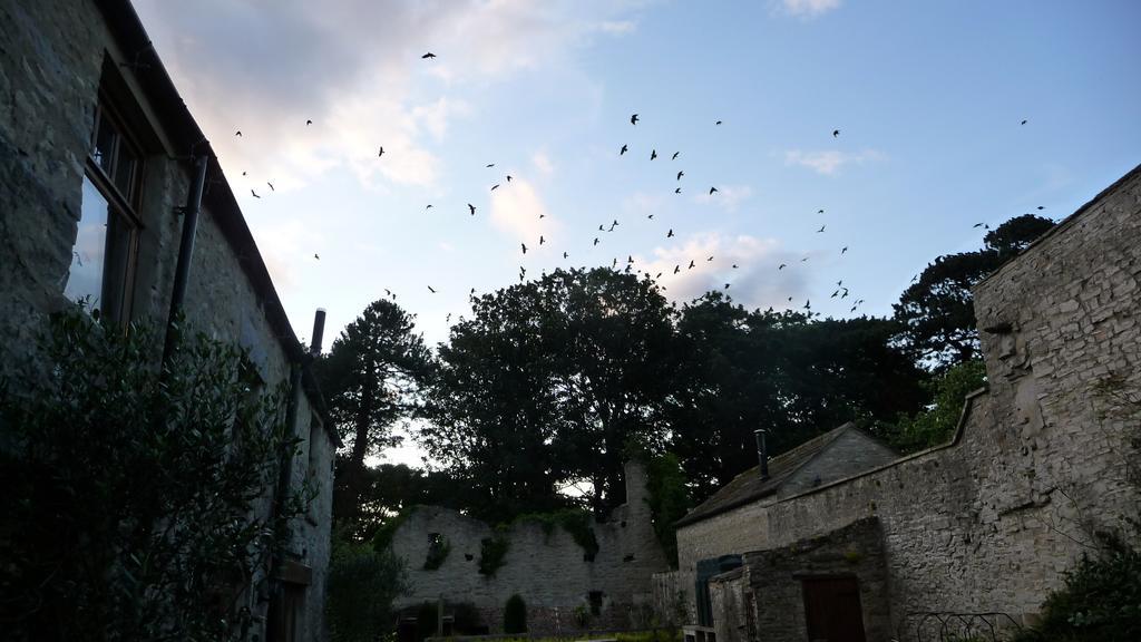 The Priory Bed & Breakfast Middleham Exterior photo